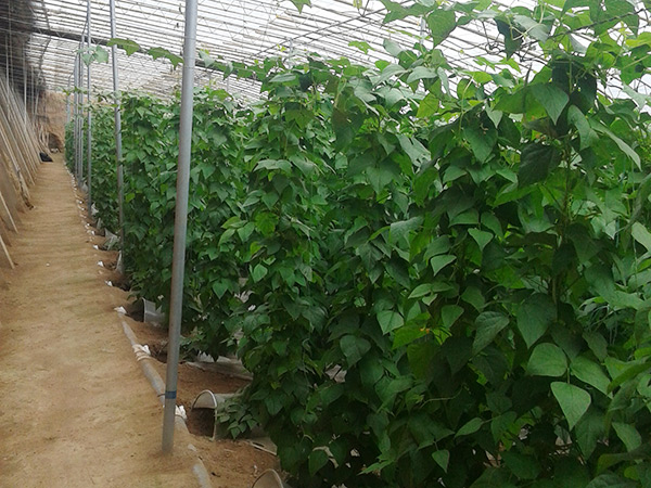 ����ʵ�õ��߲������������